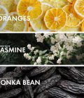 Musky Bergamot - Image 4