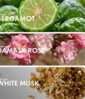Floral Bergamot - Image 4