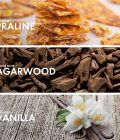 Praline Woody - Image 4