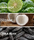 Bergamot Coconut - Image 4