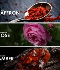 Ambery Rose - Image 4