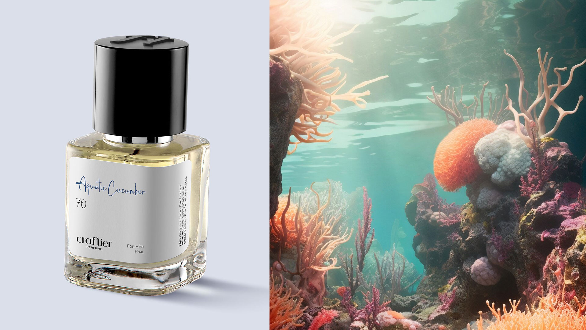 Capture the Attention of Everyone with Your Alluring Scent: Best Aquatic Fragrance Perfumes for Men ​