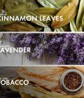 Cinnamon Tobacco - Image 4