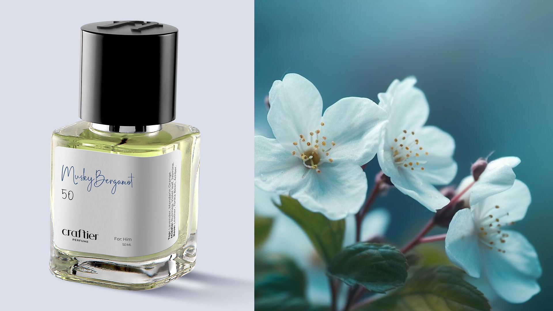 What Is the Essence of Musk Scent Perfume, Precisely? ​