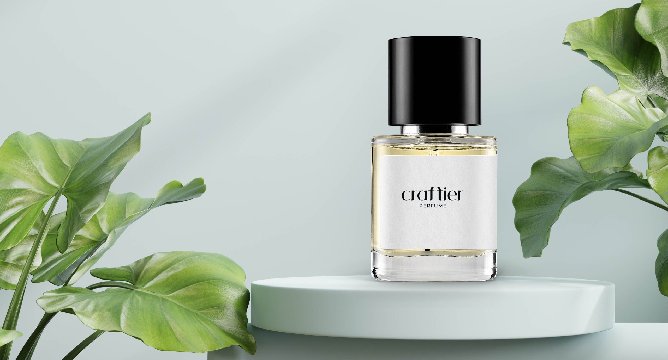 The Best Musky Perfumes for Daily Wear, Special Events, and Romantic Evenings