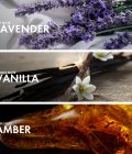 Ambery Lavender - Image 4