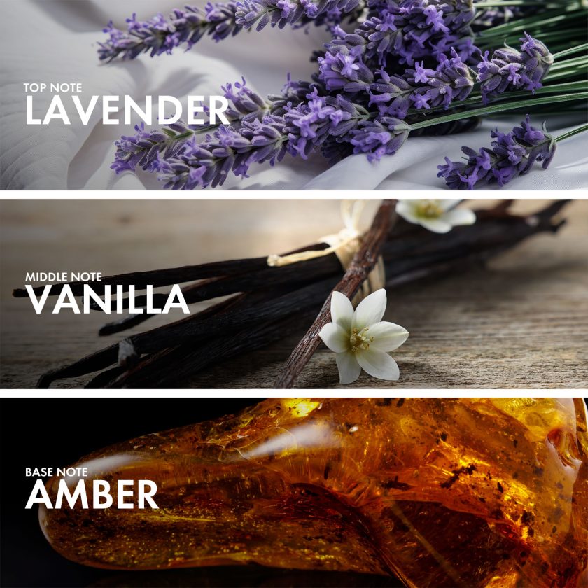 Ambery Lavender - Image 4