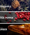 Ambery Pineapple - Image 4