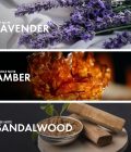 Ambery Sandalwood - Image 4