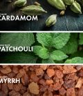 Cardamom Myrrh - Image 4