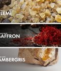 Elemi Ambergris - Image 4