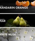 Fruity Musk - Image 4