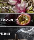Magnolian Incense - Image 4
