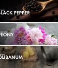 Olibanum Peony - Image 4