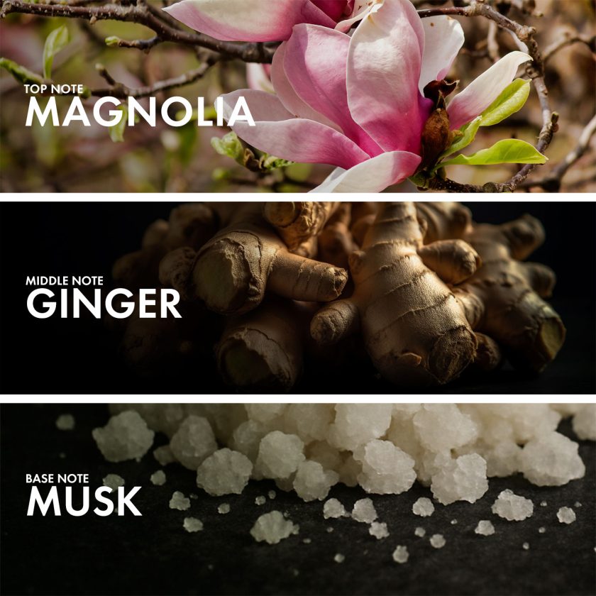 Powdery Magnolia - Image 4