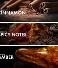 Spicy Cinnamon - Image 4