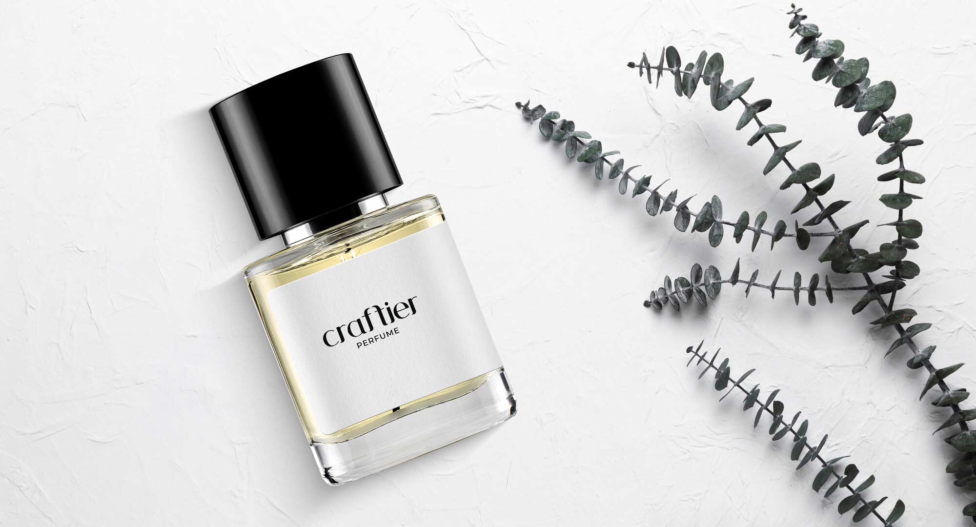 Visit Our Website to Explore the Best Perfumes with Five Star Customer Feedback