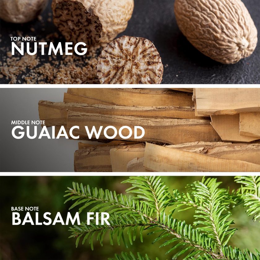 Woody Balsam Fir - Image 4