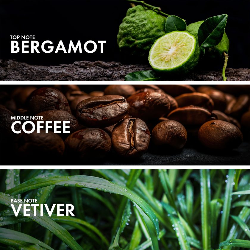 Bergamot Vetiver - Image 4