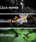 Orange Patchouli - Image 4