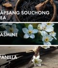 Tea Vanilla - Image 4