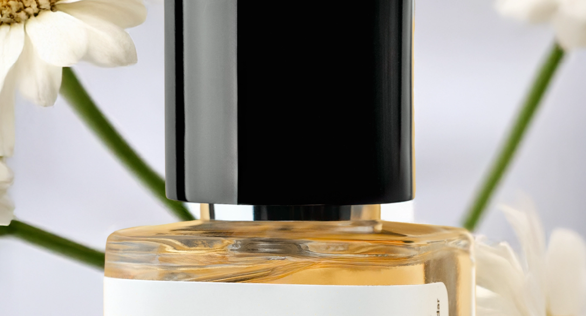 Notes to Look for in Men’s Summer Perfumes