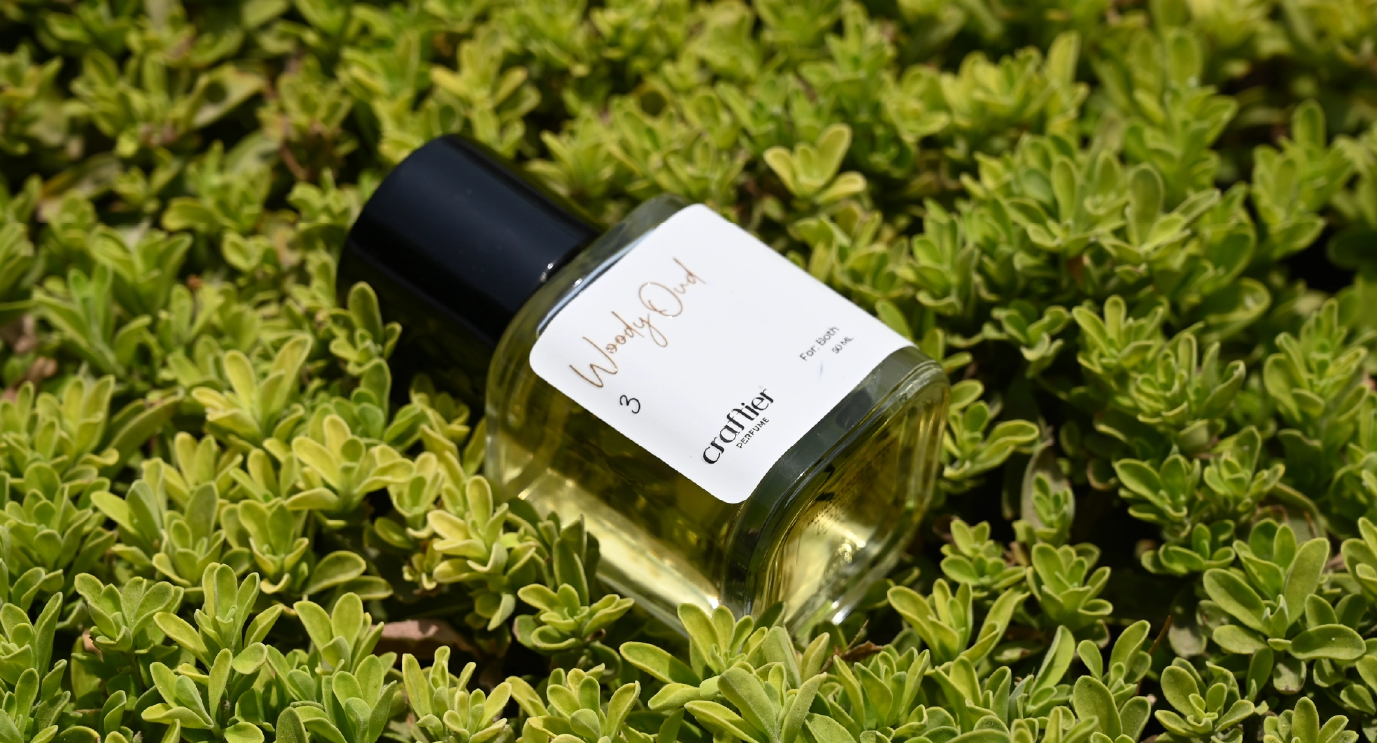 Our Favorite Picks – Best Summer Perfumes at Craftier