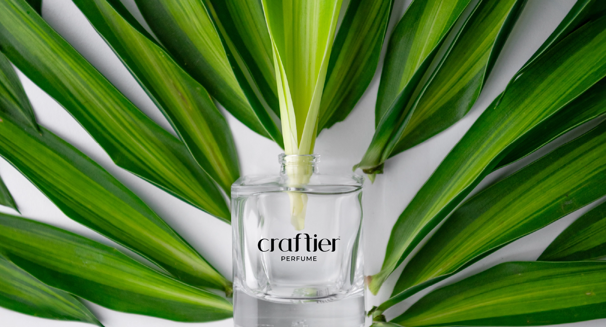 Visit Our Perfume Store or Shop Online Across the UAE